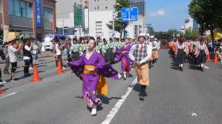 [公式]京炎そでふれ！咲産華　8/5　おどるんや～紀州よさこい祭り～　パレード＠けやき大通り競演場