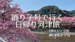 【河津桜まつり】日帰りひとり河津旅