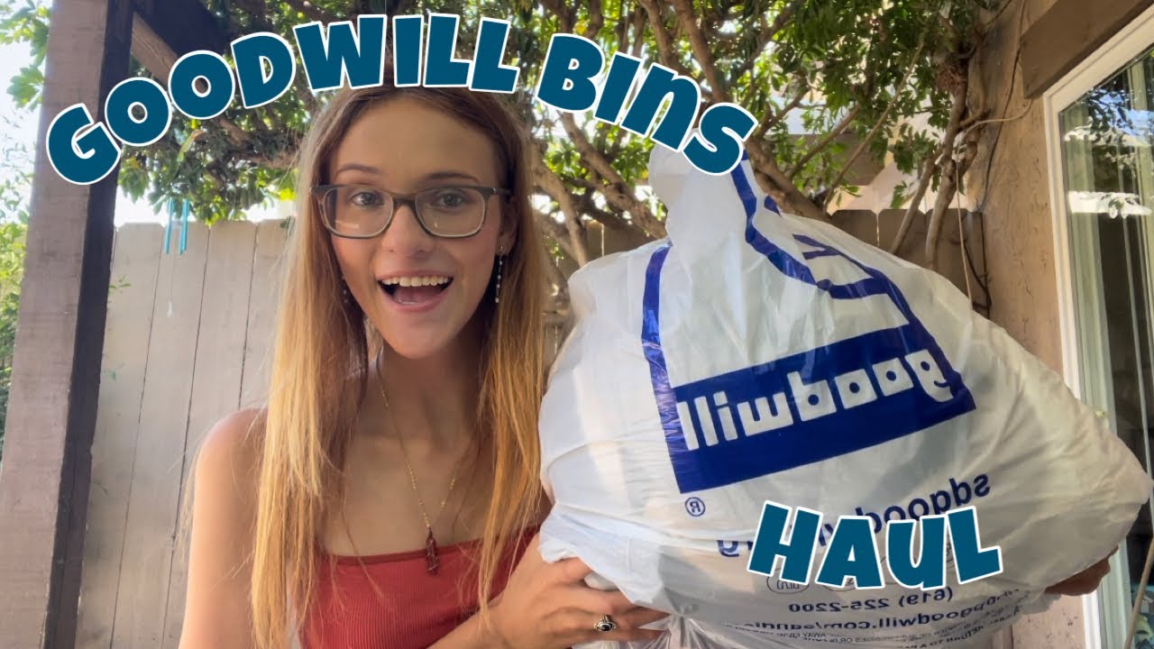 Goodwill Bins Haul Youtube