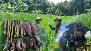 หายิงหนูท้องขาวตามป่ากล้วย/ຫາຍິງໜູທອງຂາວຕາມປ່າກ້ວຍ