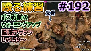 【ドラゴンズドグマDA # 192】ゾンビ覚者、脳筋型への道～ボス戦前の殴る練習～【Dragon's Dogma:Dark Arisen／ハードモード／字幕プレイ動画】