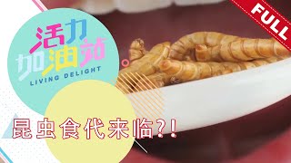 活力加油站 Living Delight (2022) | 2022年12月21日:  昆虫食代来临？！