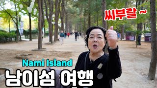 [ Click here ] 남이섬을 욕쟁이 엄마와 가보았습니다 ! NamiIsland TraveldestinationsinKorea