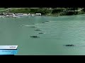 c4 junior men 500m final a 2023 icf canoe kayak sprint world championships auronzo italy