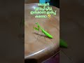 ഈ പ്രാവശ്യവും പറ്റിച്ചു.... funnyshort funny