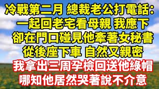 【完結】冷戰第二月 總裁老公打電話：一起回老宅看母親 我應下，卻在門口碰見他牽著女秘書，從後座下車 自然又親密，我拿出三周孕檢回送他綠帽，哪知他居然哭著說不介意｜伊人故事屋