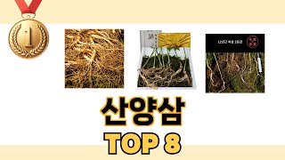 산양삼 2024년 BEST 8 쇼핑 정보