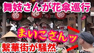 舞妓さんが京都の繫華街を花傘巡行 【2024 総集編】外国人観光客もビックリ | Maiko Gion Festival