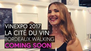 В Бордо на Vinexpo 2017 и Город вина La Cite du Vin