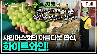 [Full] 한국기행 - 가을 맛나다 5부 친절한 금자씨의 포도밭