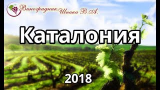 Каталония урожая 2018