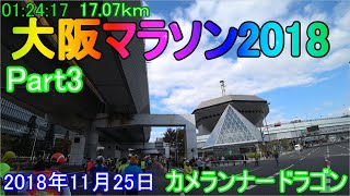 【Part3】第8回大阪マラソン2018【陸上未経験市民ランナー】Osaka marathon 2018【カメランナードラゴン】【コース紹介】