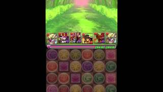 【パズドラ】火の猫龍 超地獄級 ワンパン？【クリシュナ】