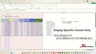 Filter Excel to only show certain columns - Excel Tips and Tricks