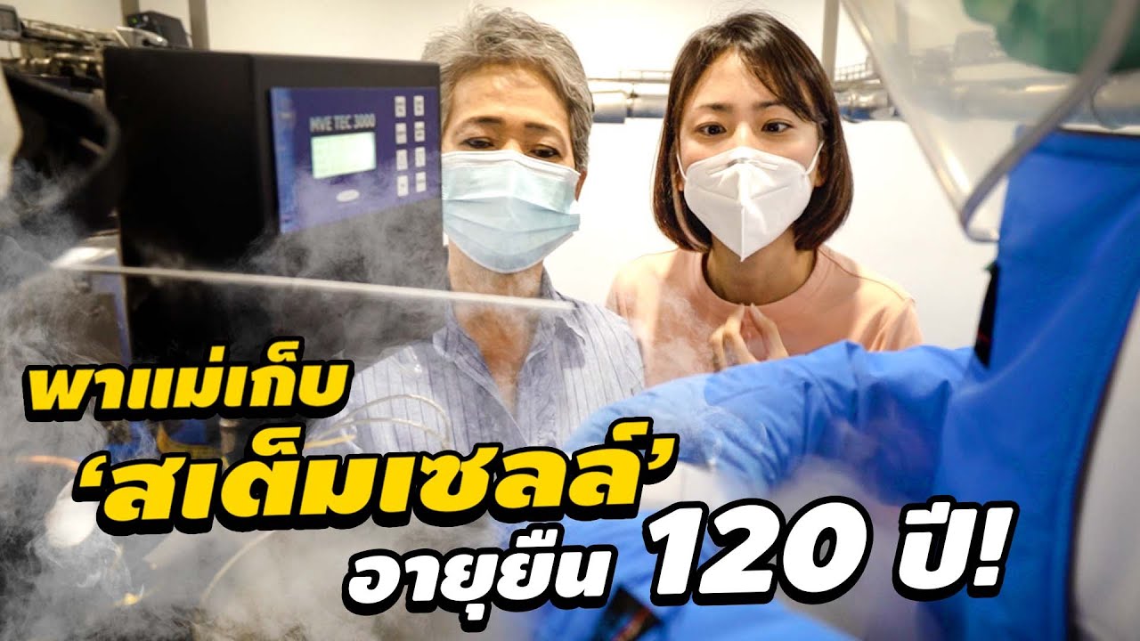 Everything About Stemcell Youtube