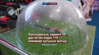 Қазақстан жылыжай өндірісін дамытуда Өзбекстан тәжірбиесін қолданбақ