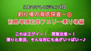 えむでテレビジョン173　釣り場の海底探査～⑥　前島埠頭右岸フェリー乗り場編　これはエグイ～！　閲覧注意～！　濁りと急流、そんな所にも魚がいっぱい～♪