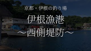 伊根漁港（京都・伊根）の釣り場情報　～漁港西側堤防～