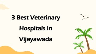 3 Best Veterinary hospitals in Vijayawada, Andhra Pradesh 2025 | Animal hospitals