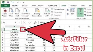 How to Use AutoFilter in MS Excel - create a filter (use autofilter) in excel