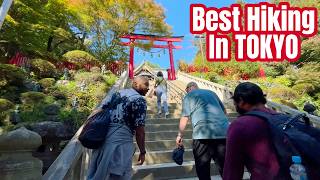 Best Day Trip From Tokyo - Mt Takao Perfect Mountain Escape in Autumn