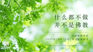 微視頻｜什麼都不做，並不是佛教——隆波帕默尊者｜2020年10月18日