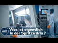 CORONA-IMPFSTOFF VON BIONTECH: Wie funktioniert der Impfstoff eigentlich?