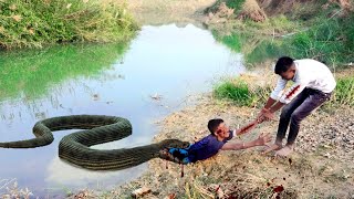 Anaconda snake in real life video 4 HD
