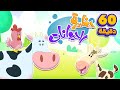 زرنا حظيرة الحيوانات ومجموعة أغاني الأطفال | قناة مرح كي جي - Marah KG