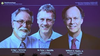 Three scientists share Nobel Prize in physiology or medicine
