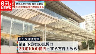 【速報】新たな経済対策  29兆1000億円の方針固める