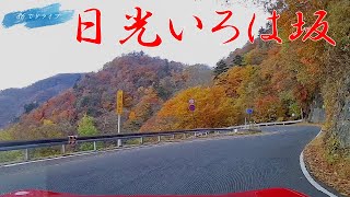 日光 いろは坂 下り 早朝 頭文字Dの聖地巡り 矢印あり #86でドライブ