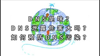 DNS是啥？DNS泄露危害大吗？怎么预防DNS污染？