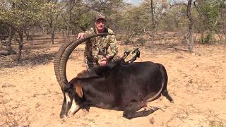 Bowhunting GIANT African Sable W/ Bob Fromme