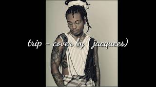 Jacquees - Trip Remix (Official) Lyrics Video
