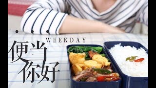 超级快手菜 | 10分钟8元钱的工作日便当