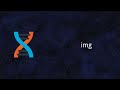 Dioxus | Img | Rust | Tutorial 24