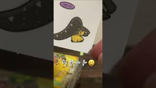 ポケモンパン　ピカチュウのパウンドケーキ第5弾44日目 #pokemon