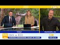 man fights kangaroo for six minutes in victoria today show australia