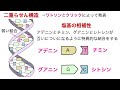 【基礎用語をおさらい！】生物基礎のテストに出そうな基礎用語を素早く復習！ 前編 〔現役塾講師解説、高校生物、生物基礎〕