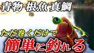 【漁師の仕掛】簡単操作であらゆる魚が連発するショアラバの基本・釣り方のコツを徹底解説