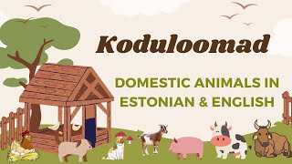 Koduloomad - Domestic Animals in Estonian \u0026 English