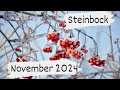 Steinbock ♑November 2024