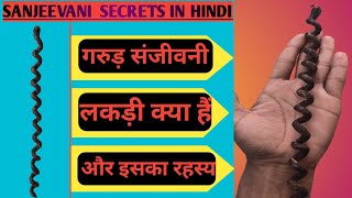 गरुड़ संजीवनी लकड़ी क्या हैं और इसका रहस्य Garuda Sanjeevani and Secrets in Hindi