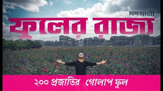 ফুলের রাজ্য গদখালী । ২০০ প্রজাতির গোলাপ ফুল । The Largest flowers garden in Bangladesh