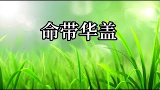 命帶華蓋，如果你也是這樣的人，我們可以一起聊聊。     #周易  #国学