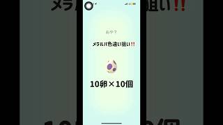 10キロ卵×10 2人で100キロ歩きました… #shorts #ポケモン #ポケgo #pokemongo #ポケモンgo好きと繋がりたい #10キロ卵 #ポケgo #pokemon #たまご孵化