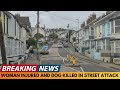 breaking news woman injured and dog killed in street attack in devon