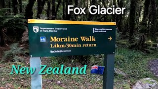 Moraine Walk Fox Glacier New Zealand 2024