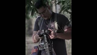 Wildlife Photographer #shortsvideo #travel #nikon #leica #shorts